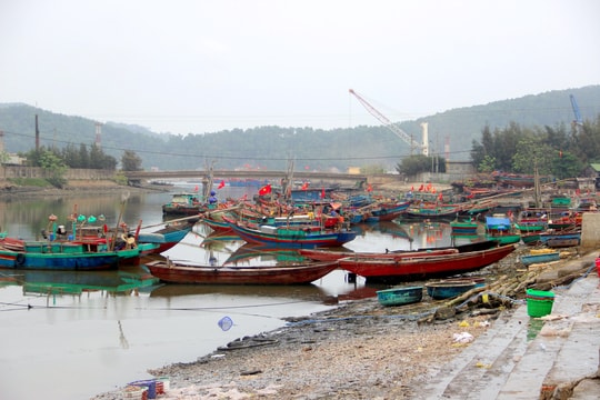 Tàu thuyền nằm bờ vì giá xăng dầu tăng cao kỷ lục