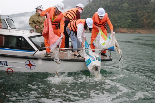 Thả trên 40.000 con cá giống xuống lòng hồ thủy điện Bản Vẽ