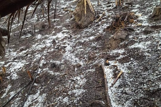 Mưa đá rơi trắng xóa ở xã vùng biên Nghệ An