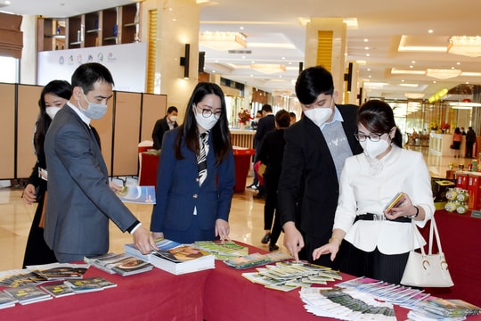 Nghệ An chính thức mở cửa lại hoạt động du lịch và đón khách quốc tế 