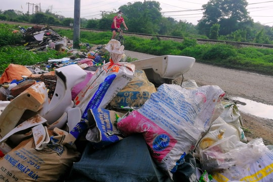 Rác thải tràn ngập các hồ điều hòa ở TP. Vinh