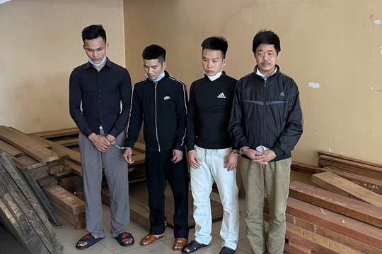 Sử dụng xe máy kéo, thực hiện 15 vụ trộm gỗ liên huyện