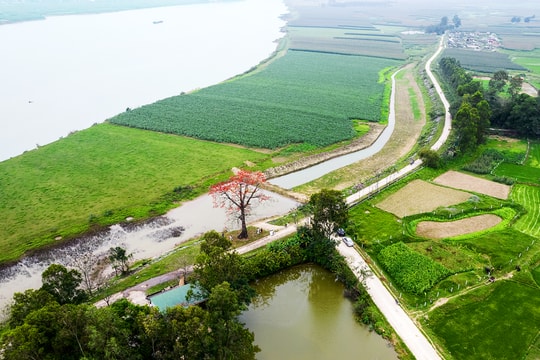 Có hẹn với tháng Ba