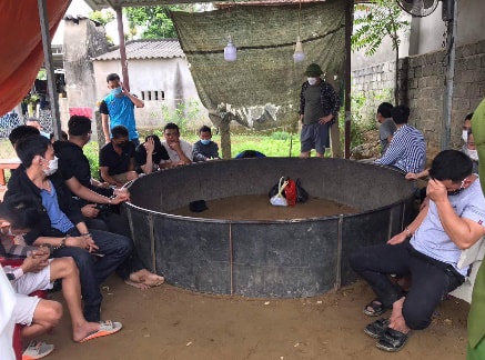Đột kích sới đá gà, bắt quả tang 17 đối tượng đánh bạc