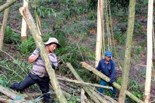 Bị ngọn keo rơi trúng, một người đàn ông tử vong tại chỗ