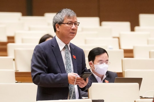 Không được cản trở việc phổ biến, sử dụng Quốc kỳ, Quốc huy, Quốc ca