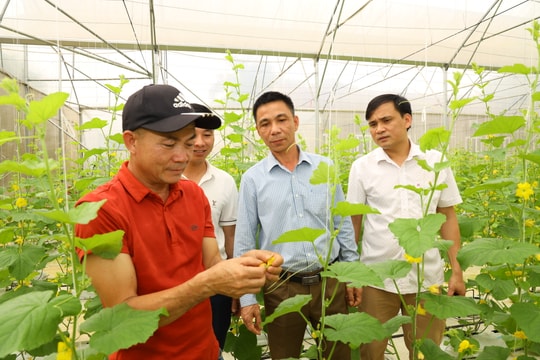 Thu ngân sách quý I ở TX. Thái Hòa đạt 56% của cả năm 2022