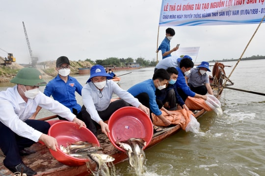 Thả hơn 1 triệu con cá giống xuống sông Lam để tái tạo nguồn lợi thủy sản