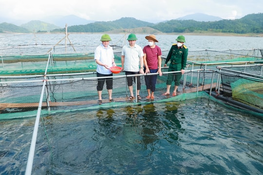 Bí thư Tỉnh ủy Thái Thanh Quý thăm cơ sở nuôi cá lồng trên lòng hồ thủy điện Hủa Na, Quế Phong