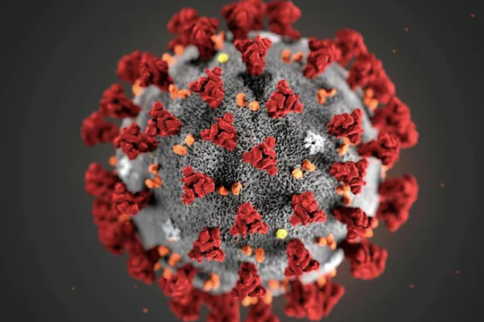 WHO cảnh báo về biến chủng lây lan nhanh hơn Omicron