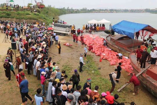 Chùa Viên Quang phóng sinh 12 tấn cá xuống sông Lam