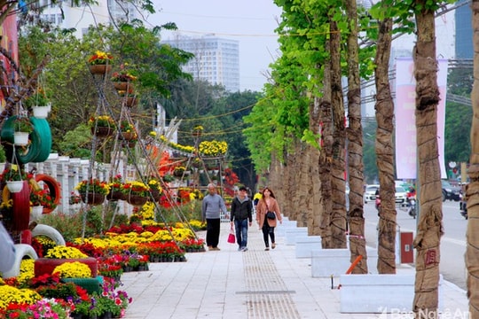 Thành phố Vinh chính thức vận hành Phố đi bộ vào tối 8/4