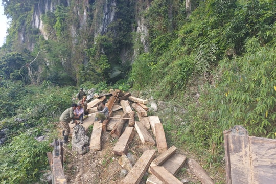 Chi cục Kiểm lâm Nghệ An yêu cầu báo cáo lại vụ phá rừng ở vùng biên Kỳ Sơn