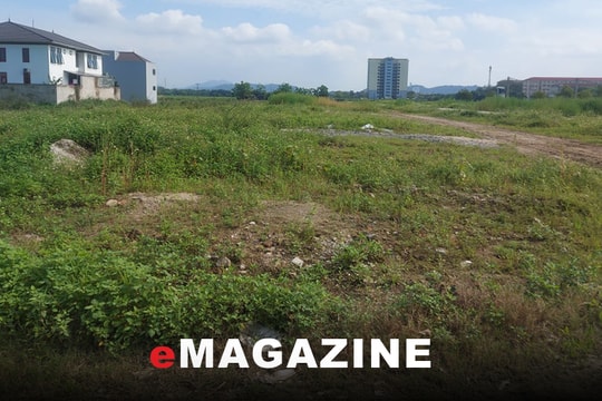 Ảm đạm Đồng Dâu!