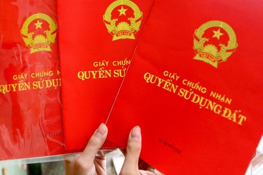 Đừng tin mấy lời ngọt