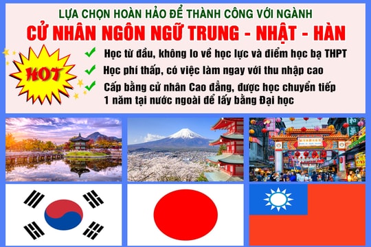 Cơ hội tuyệt vời để thành công với bằng cử nhân ngôn ngữ Trung - Nhật - Hàn