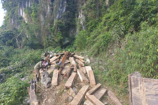 UBND tỉnh chỉ đạo xử lý vấn đề Báo Nghệ An nêu về vụ phá rừng ở vùng biên Kỳ Sơn