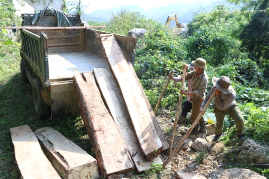 Xử lý cá nhân, tập thể liên quan đến vụ phá rừng tại xã Nậm Cắn (Kỳ Sơn)