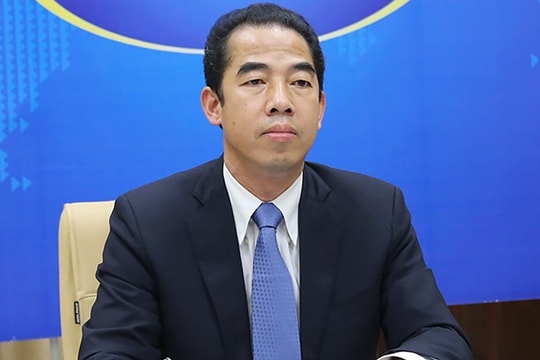 Thứ trưởng Ngoại giao Tô Anh Dũng bị bắt về tội nhận hối lộ