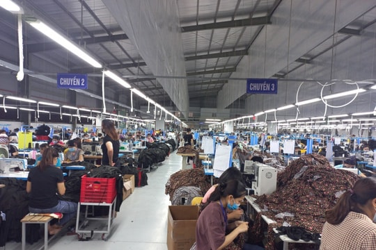 Cần tăng nguồn vốn chính sách giải quyết việc làm cho người lao động