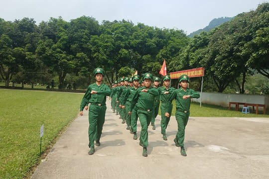 Nghệ An: 2 tập thể, 1 cá nhân được khen thưởng phong trào thi đua doanh trại xanh, sạch, đẹp