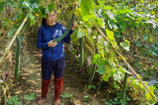 Tân Kỳ phát huy hiệu quả nguồn vốn vay ưu đãi