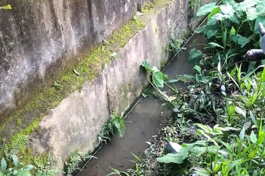 Phát hiện người đàn ông tử vong dưới mương nước