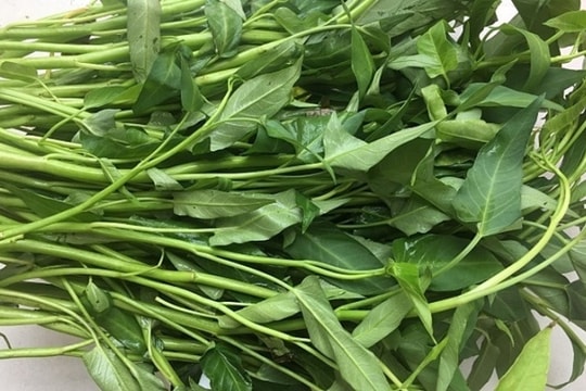 Loại rau giải độc, thanh nhiệt mùa hè