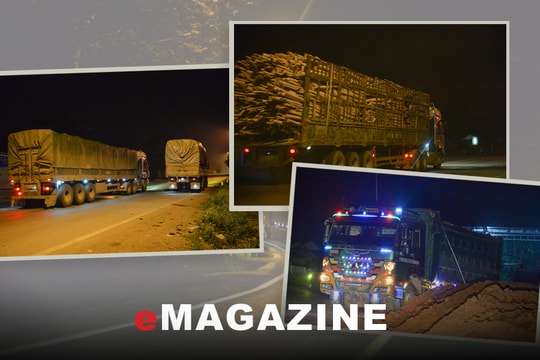 Xử lý phương tiện vận tải vi phạm pháp luật: Không thể có ‘vùng tối’!