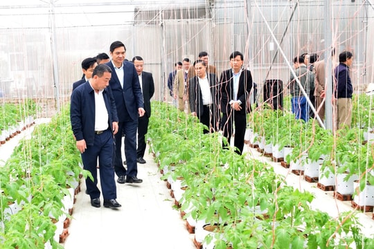 Nghệ An phấn đấu đến năm 2025 tỷ lệ hộ nghèo thấp hơn bình quân chung cả nước