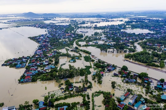 Năm 2022 có khả năng xuất hiện nhiều cơn bão mạnh trái quy luật