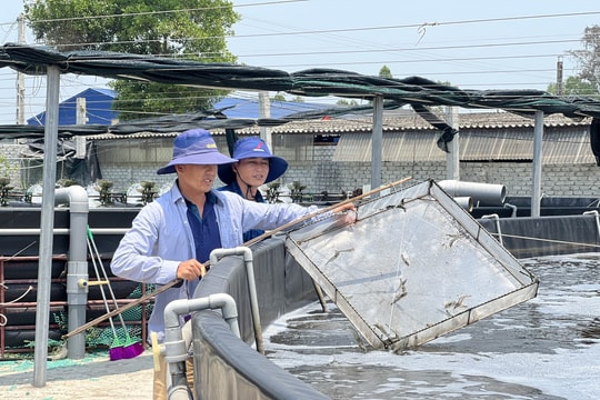 Sát lễ, nắng nóng gay gắt hải sản tươi sống 'sốt' giá