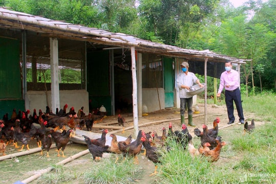 Nam Đàn phát huy hiệu quả tín dụng chính sách giải quyết việc làm