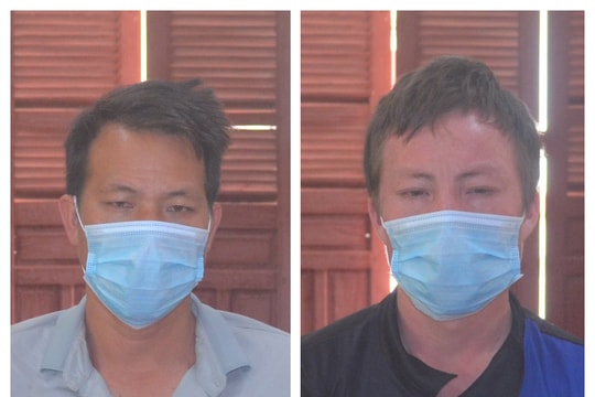 2 người bị khởi tố vì vận chuyển bò lậu qua biên giới