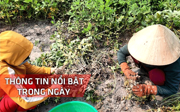 Nghệ An: Thông tin nổi bật ngày 2/5