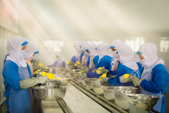 Khi công nhân làm 'phó nháy'