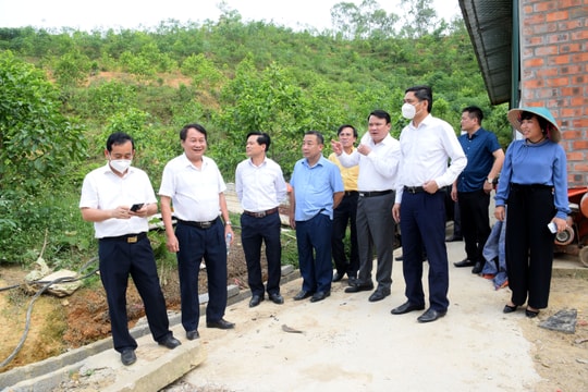 Lãnh đạo tỉnh kiểm tra tiến độ xây dựng huyện nông thôn mới tại Đô Lương