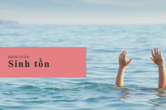 Điểm tuần 6: Sinh tồn