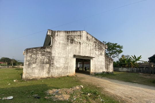 Chợ tiền tỷ thành nơi chơi bóng, thả rông trâu, bò 