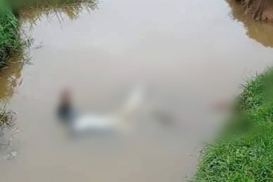 Đi bắt cua, phát hiện nam thanh niên chết dưới mương nước