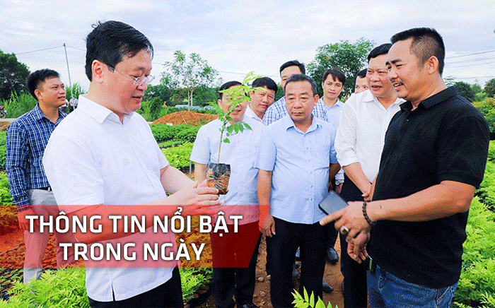 Nghệ An: Thông tin nổi bật ngày 11/5