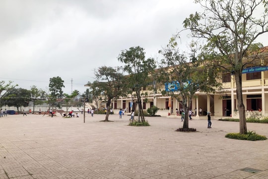 Diễn Châu đình chỉ dạy học đối với giáo viên lớp 3 đánh học sinh