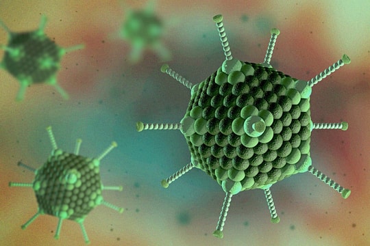 Nghệ An tăng cường lấy mẫu xét nghiệm các trường hợp nghi ngờ viêm gan cấp tính