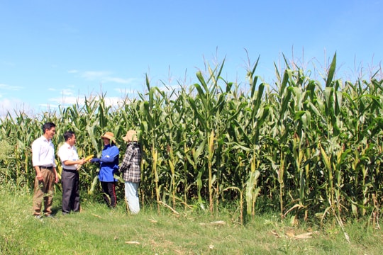 Lắng nghe nguyện vọng của người dân