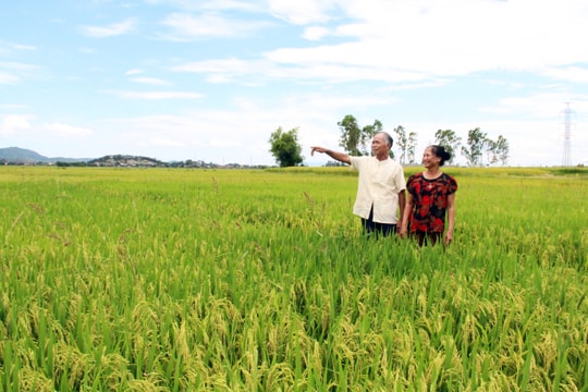 Cán bộ, đảng viên gương mẫu, đi đầu trên quê Bác