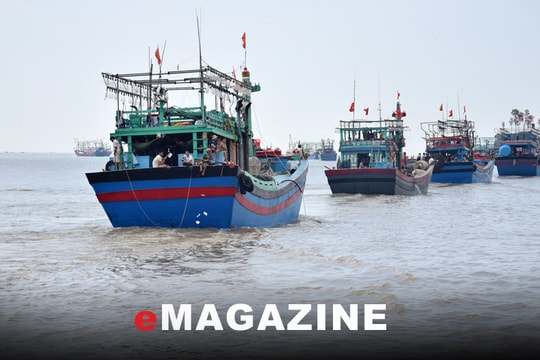 Nâng giá trị hải sản sau khai thác: Bài 1 - Khó khăn chồng lên khó khăn