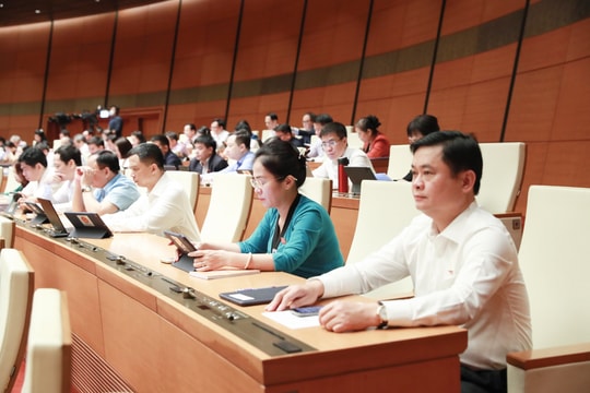 Hoạt động của Đoàn ĐBQH Nghệ An trong ngày làm việc thứ hai, Kỳ họp thứ 3, Quốc hội khóa XV