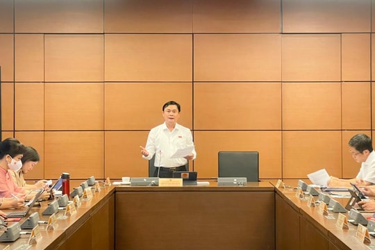 Sửa Luật Thanh tra: Nên bỏ hay duy trì mô hình thanh tra cấp huyện?