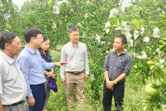 Quyết tâm ‘Tự soi, tự sửa’ ở thị xã Thái Hòa