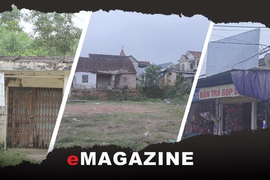 Công ty CP Thương mại Miền núi Nghệ An: 'Ôm đất vàng' rồi... bỏ hoang